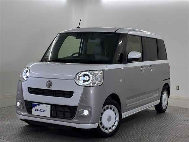 ムーヴキャンバス  ストライプス G