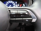 前車追従機能付きのレーダークルーズを備えています。自動で車間距離を調整してくれますので、アクセル操作の疲労軽減に繋がります。特に長距離を帰省される方にはお奨めですよ。