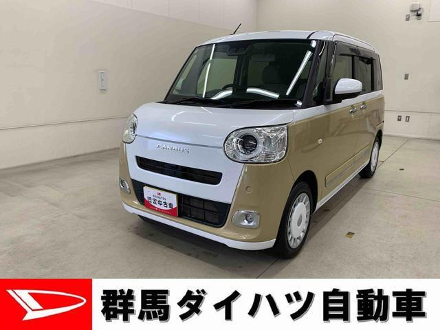 ムーヴキャンバス ストライプス G