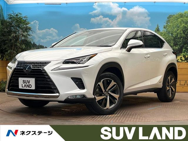 NX 300h バージョンL 
