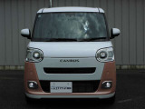 ムーヴキャンバス  ストライプス G
