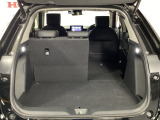 軽い力でサッと倒せるシートアレンジ。急に荷物が増えても、その場でサクッとスペースを広げられます。毎日の『困った』を『助かった』に変える工夫が満載です。
