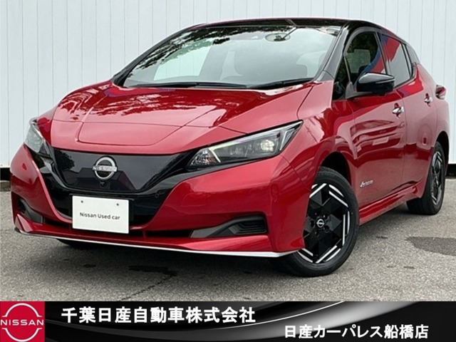 リーフ e+ X