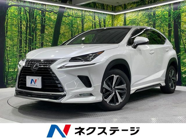 NX 200t Iパッケージ 