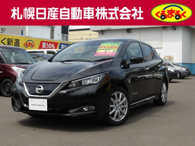 リーフ G