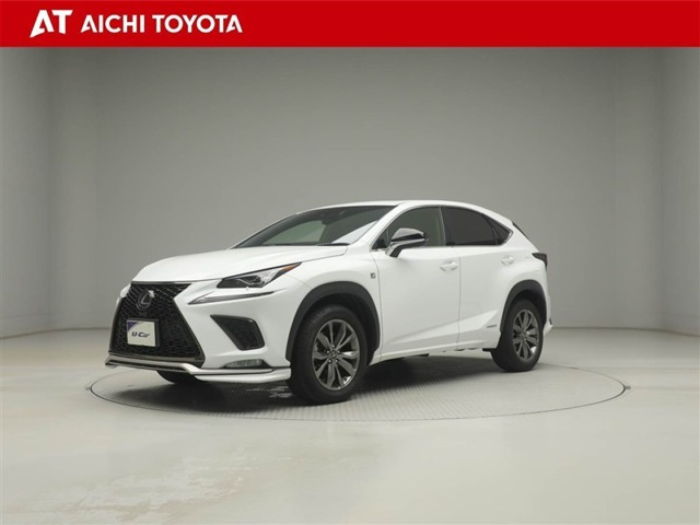 NX 300h Fスポーツ