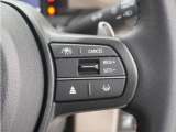 ◆アダプティブクルーズコントロール◆予め設定した車速内でクルマが自動的に加減速。前走車との適切な車間距離を維持しながら追従走行します。【LKAS】車線維持支援システムでステアリング操作を支援。