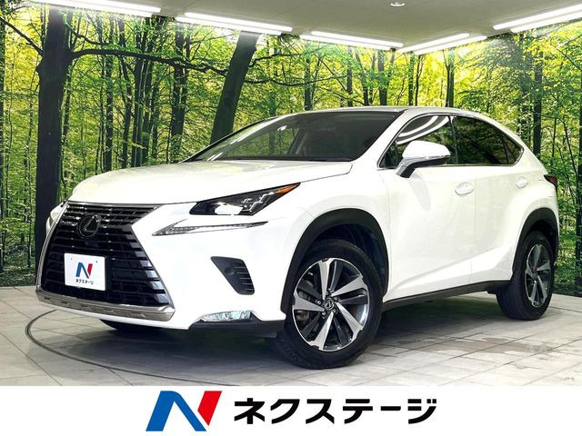NX 200t Iパッケージ 