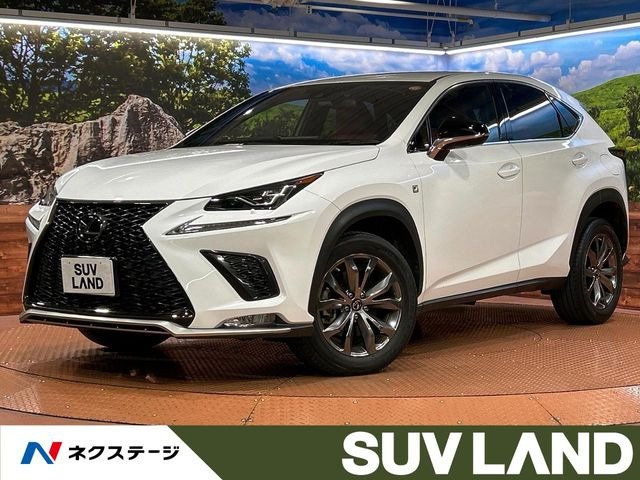 NX 300 Fスポーツ 