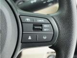 ◆アダプティブクルーズコントロール◆予め設定した車速内でクルマが自動的に加減速。前走車との適切な車間距離を維持しながら追従走行します。【LKAS】車線維持支援システムでステアリング操作を支援。
