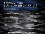 ギブリ  GT ペッレ イントレッチァータ