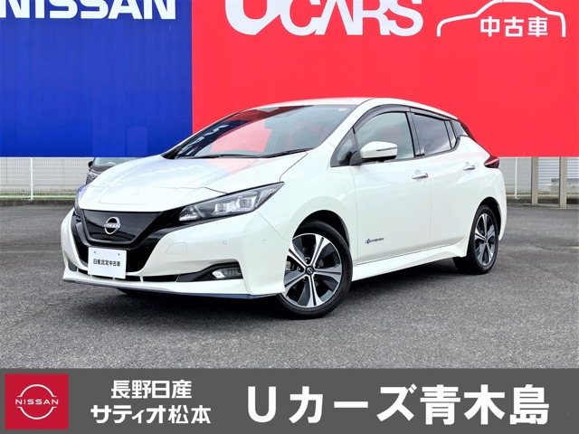リーフ e+ G
