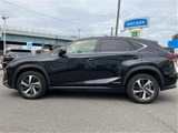 NX 300h バージョンL 