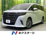 左右独立ムーンルーフ 純正14型ナビ 後席モニター 全周囲カメラ