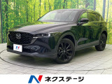 純正10型ナビ 全周囲カメラ 衝突被害軽減システム レーダークルーズ