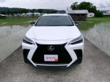 NX 350h Fスポーツ 