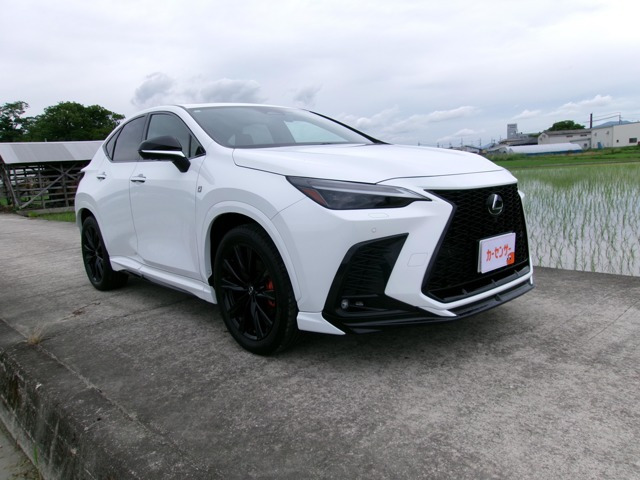 NX 350h Fスポーツ 