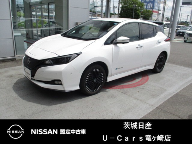 リーフ e+ G 