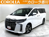アルファ-ドS Cパッケージ 入荷しました!