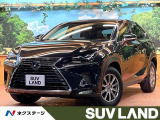 全周囲カメラ ブラインドスポットモニタ レーダークルーズ 電動リアゲート