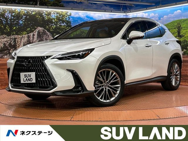 NX 250 バージョンL 