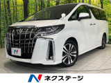 サンルーフ 両側電動ドア BIG-X11型 後席モニター バックカメラ