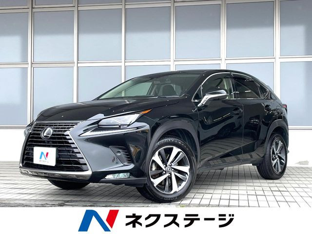 NX 200t Iパッケージ 