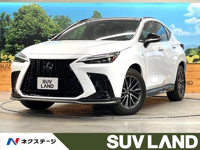 NX 350h Fスポーツ 