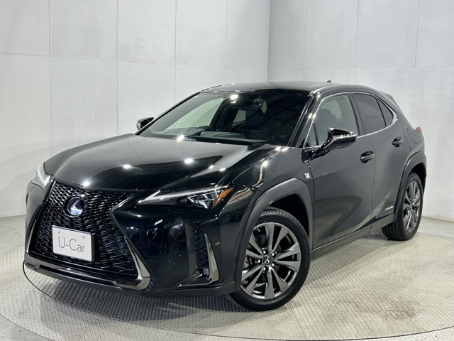 UX 250h Fスポーツ