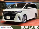 両側電動ドア 後席モニター 全周囲カメラ 寒冷地仕様 100V電源
