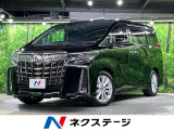 サンルーフ BIG-X11型ナビ 両側電動ドア バックカメラ