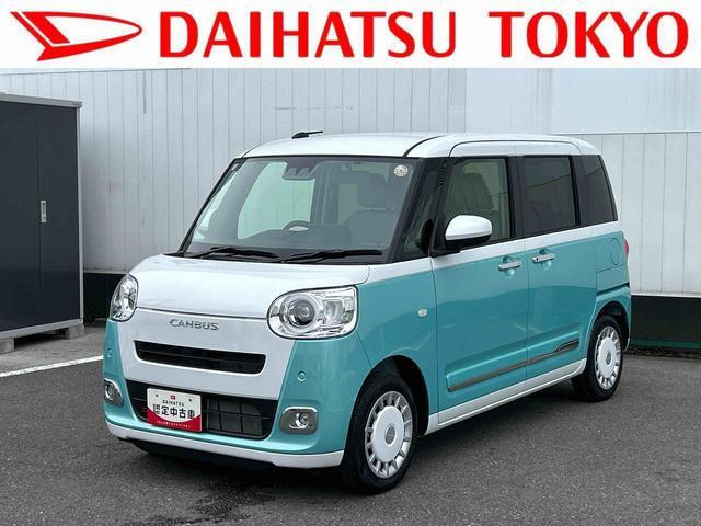 ムーヴキャンバス  ストライプス G