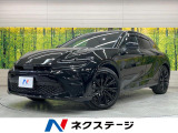 純正12型ナビ 全周囲カメラ 衝突被害軽減システム レーダークルーズ