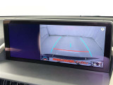 NX 300 ブロンズ エディション 