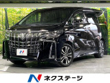 10型ナビ バックカメラ 後席モニター 両側電動ドア 3眼LEDライト