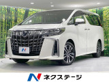 両側電動ドア 11型ナビ 後席モニター サイド・バックカメラ 禁煙車