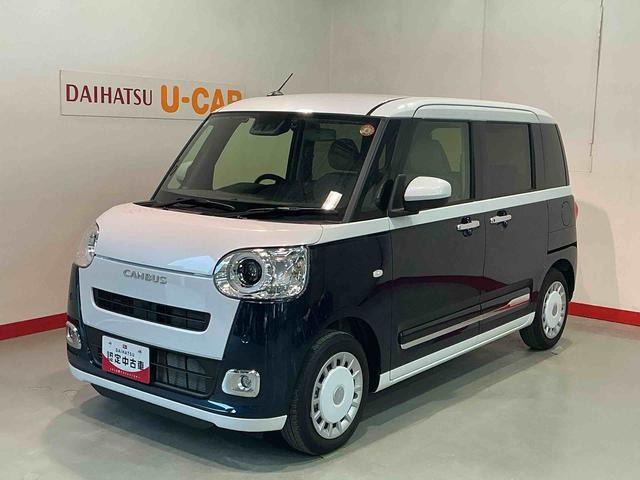 ムーヴキャンバス  ストライプス G