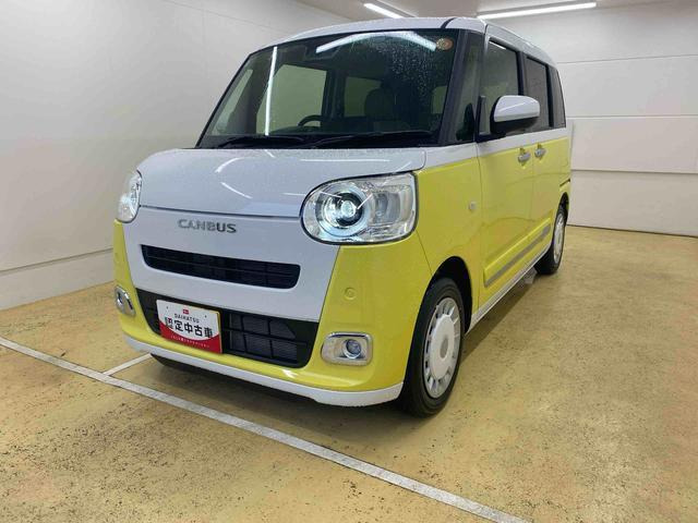 ムーヴキャンバス  ストライプス G
