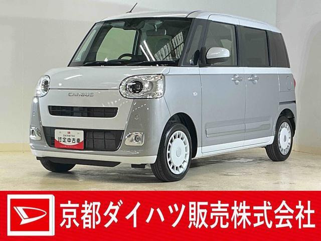 ムーヴキャンバス  ストライプス G