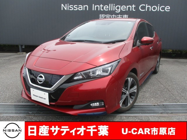 リーフ G