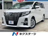レーダークルーズ バックカメラ ETC Bluetooth フルセグ