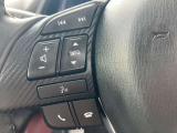 オーディオの音量やチャンネル操作ができるスイッチが、ハンドルに付いています。運転中でも、操作が行えて非常に安全・便利です!