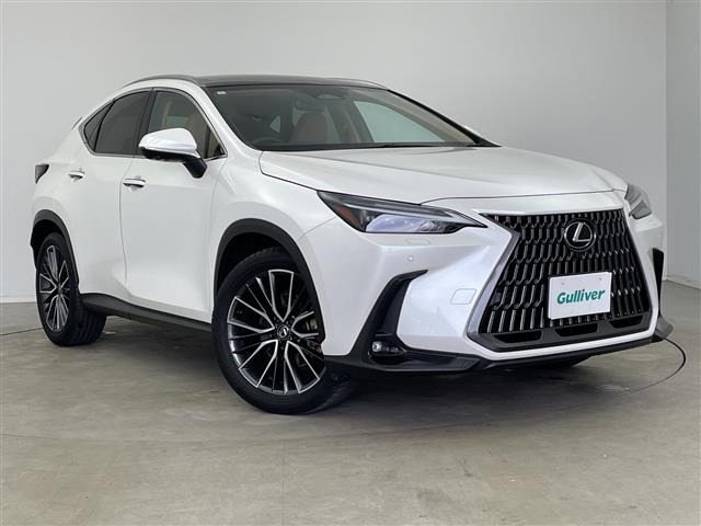 NX 250 バージョンL 本革シート サンルーフ