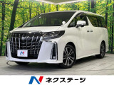 サンルーフ 両側電動ドア BIG-X10型ナビ 後席モニター