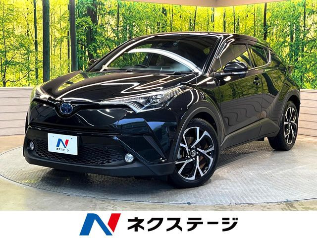 C-HR  G