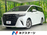 ガラスルーフ 両側電動ドア 後席モニター フロント・サイド・バックカメラ