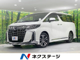 禁煙車 純正9型ナビ 後席モニター バックカメラ シートエアコン ETC