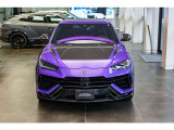Bonnet in Shiny Carbon Fiber Livery