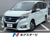 純正9インチナビ フリップダウンモニター 両側電動ドア 全周囲カメラ