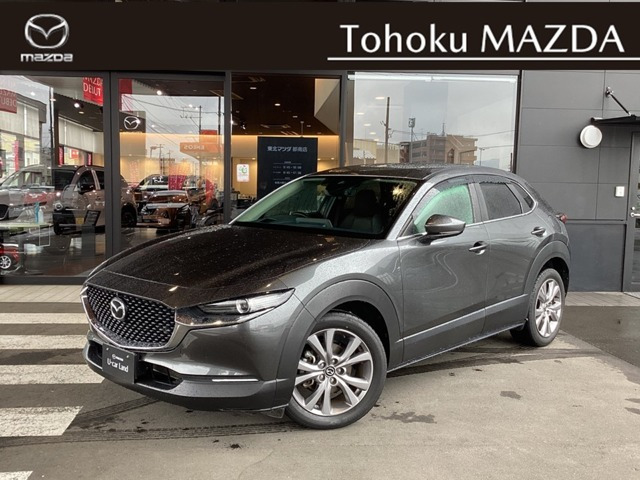 CX-30 2.0 20S